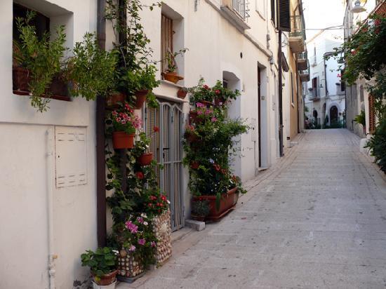 Residenza Borgo Antico Villa แตร์โมลิ ภายนอก รูปภาพ